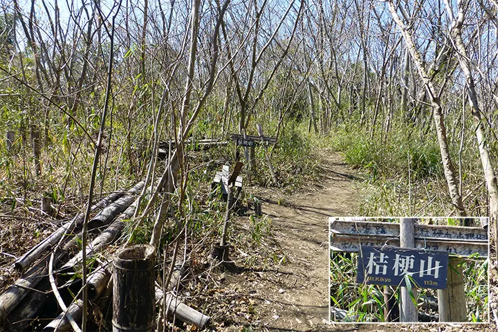 桔梗山(113m)大船観音が見えた 桔梗山(113m)大船観音が見えた