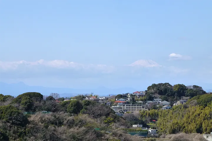 常磐富士見台から富士山が見えた 常磐富士見台から富士山が見えた