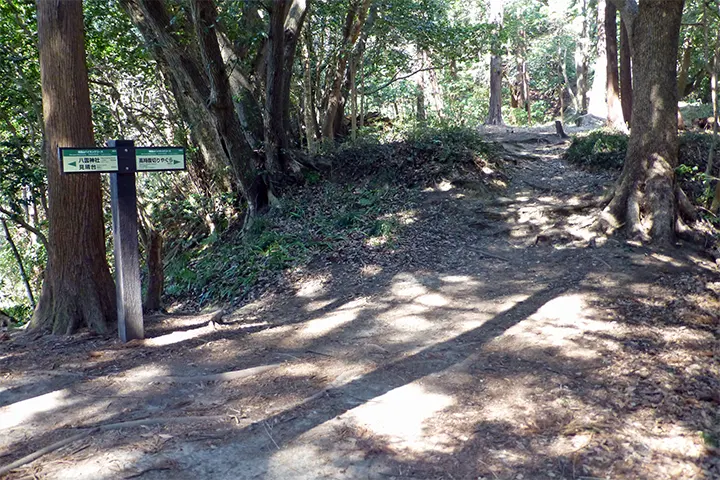 住宅地の裏山のような道 住宅地の裏山のような道