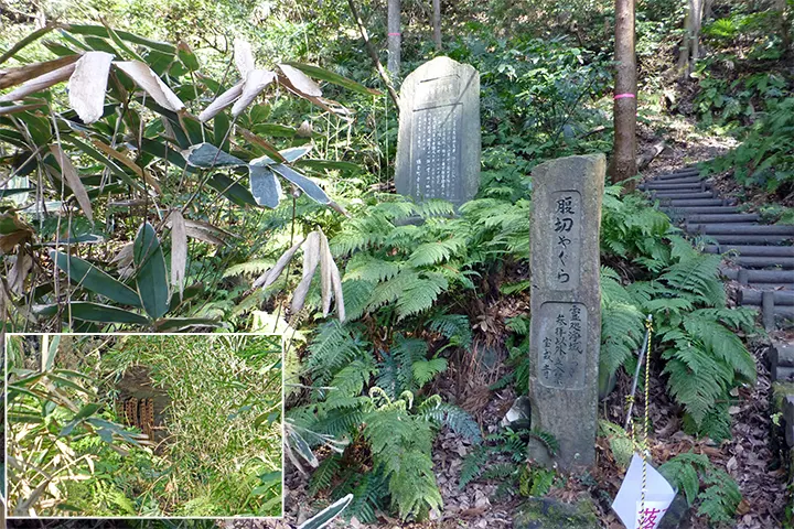 北条高時腹切やぐら 北条高時腹切やぐら