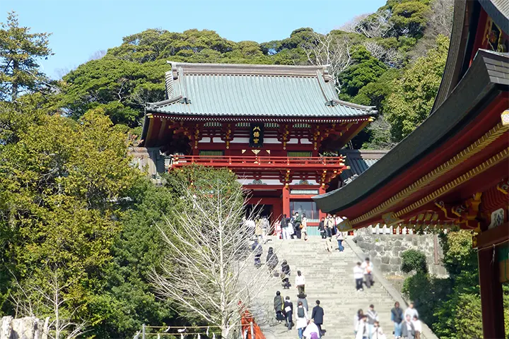 鶴岡八幡宮 鶴岡八幡宮