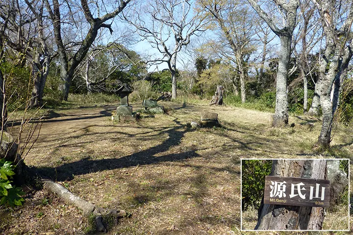 源氏山(93m) 源氏山(93m)