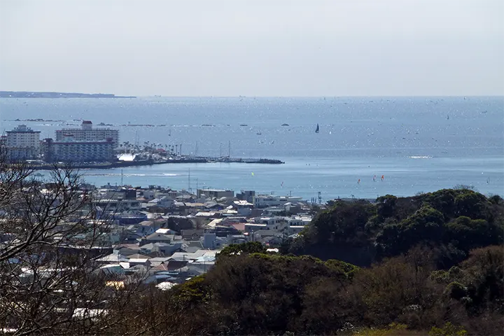 ハイキングコースから海が見えた ハイキングコースから海が見えた